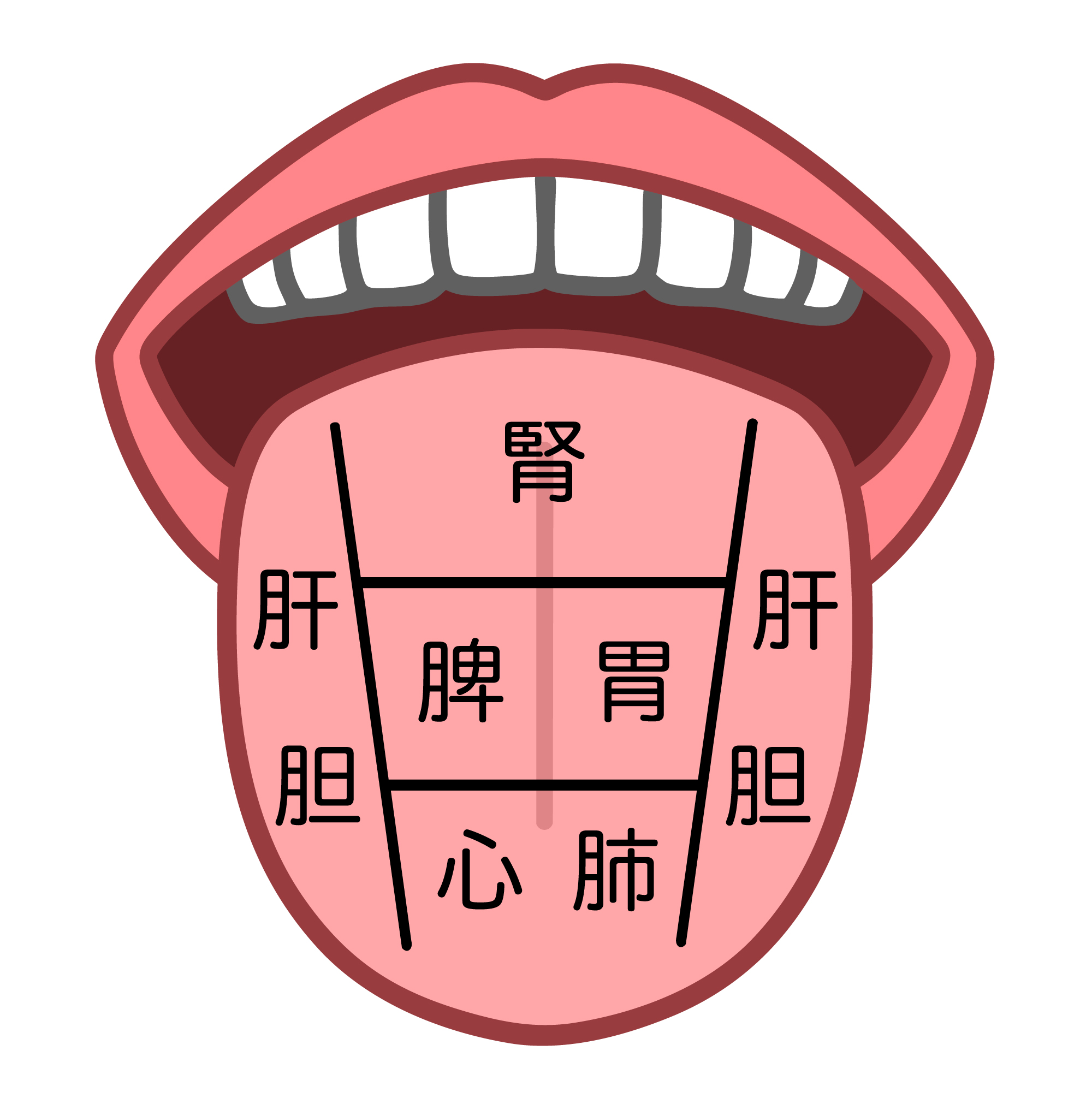 舌を見るだけで、カラダのことがわかる？〜舌診とは〜 | 美容鍼灸